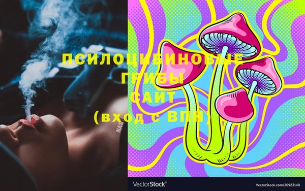 марки lsd Пересвет