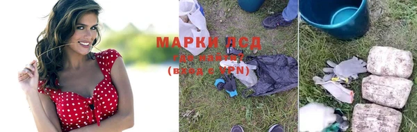 spice Осташков