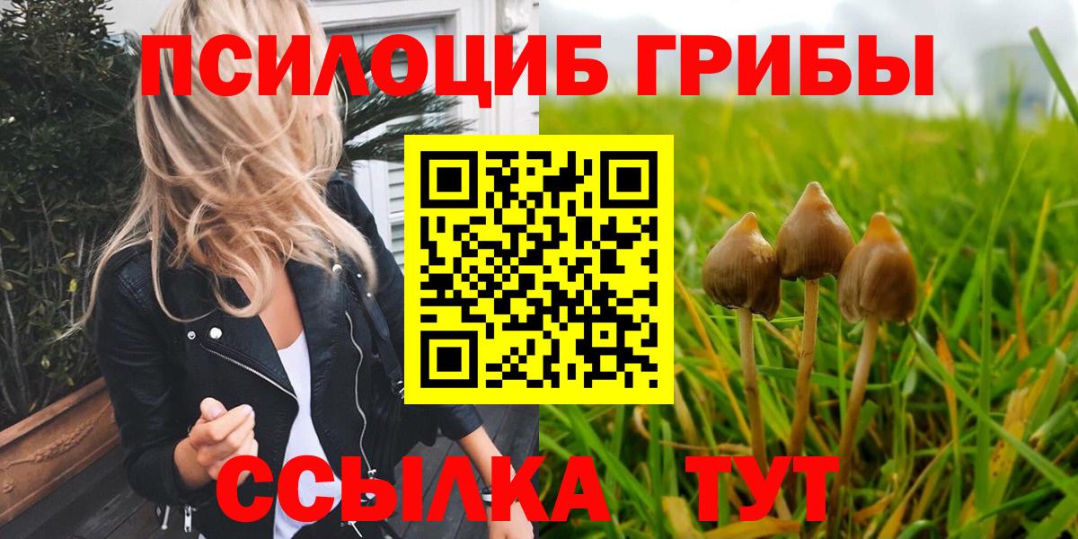 Псилоцибиновые грибы мицелий Коммунар