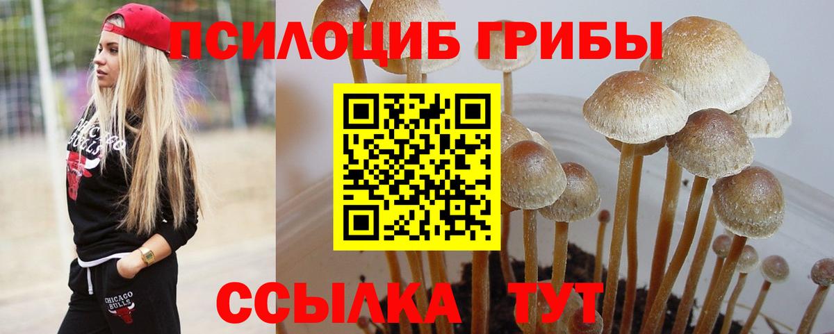 Коммунар  Псилоцибиновые грибы GOLDEN TEACHER  Вход с VPN 